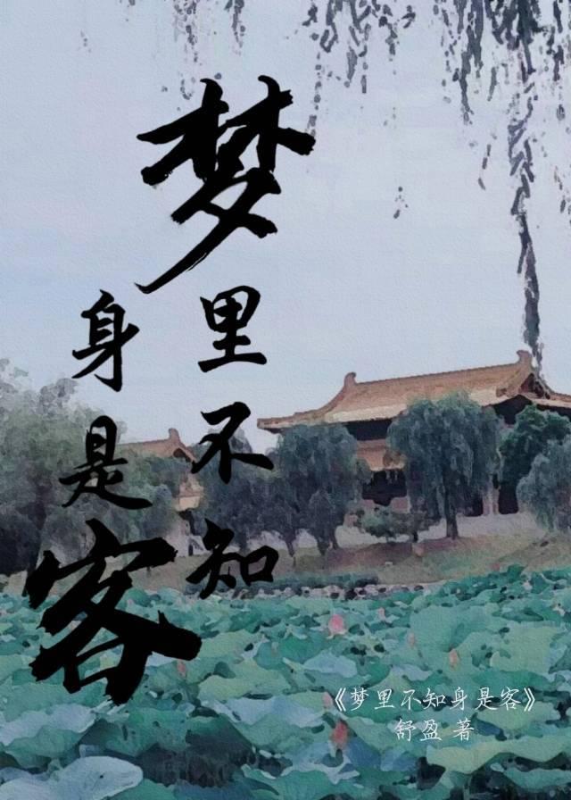 夢裏不知身是客