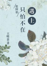 (張國榮同人)只怕不再遇上