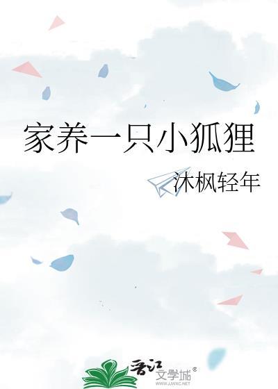 家養一只小狐貍