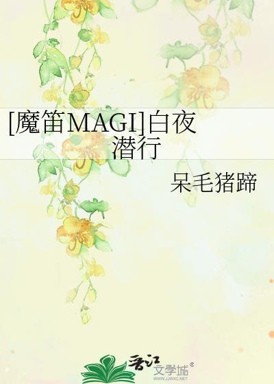 [魔笛MAGI]白夜潛行