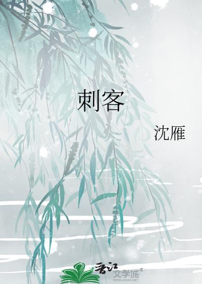 刺客