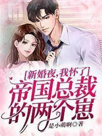 新婚夜,我懷了帝國總裁的兩個崽