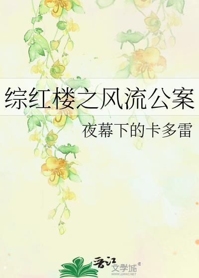 綜紅樓之風流公案