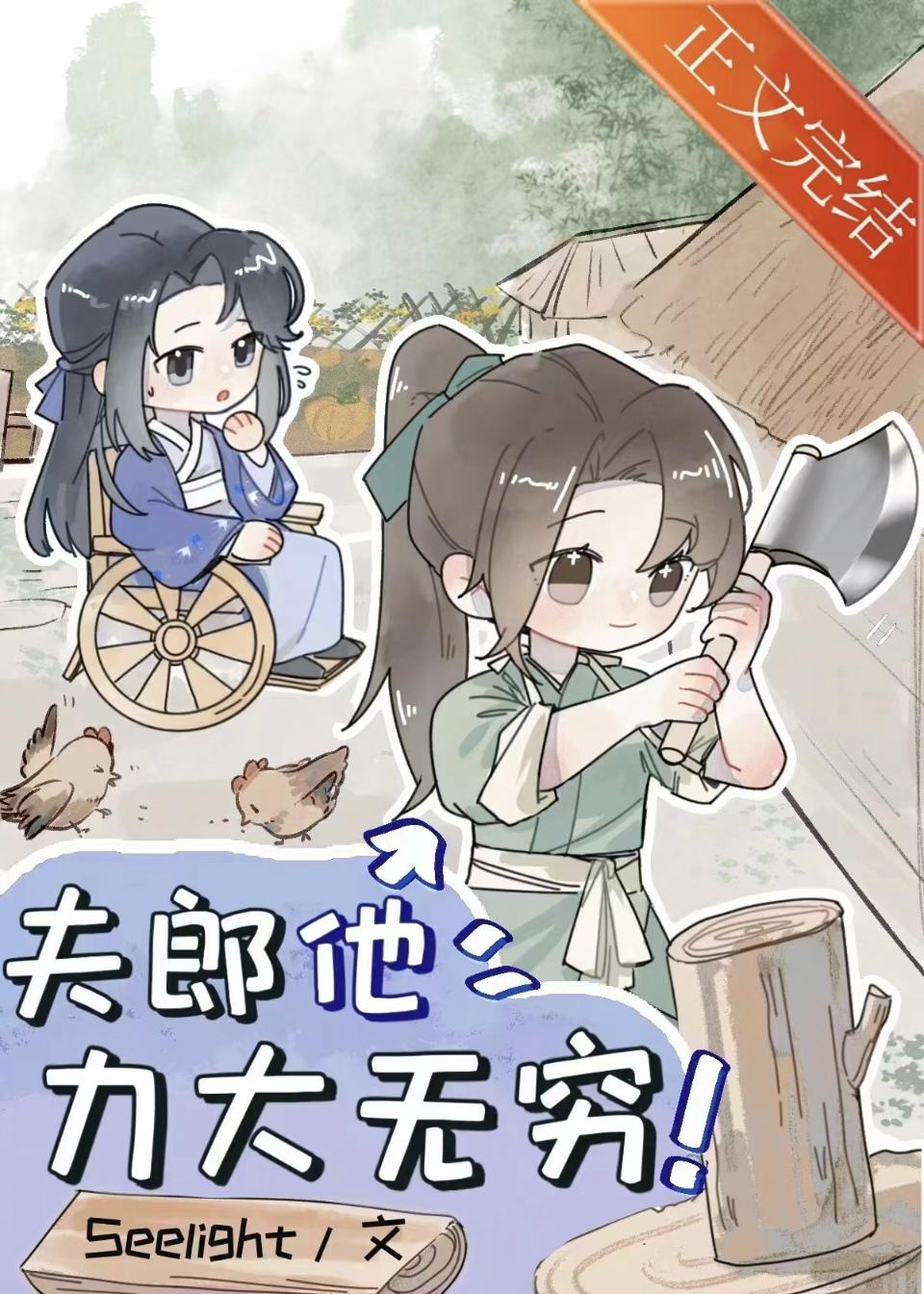 小夫郎和他的殘疾贅婿