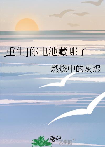 [重生]你電池藏哪了