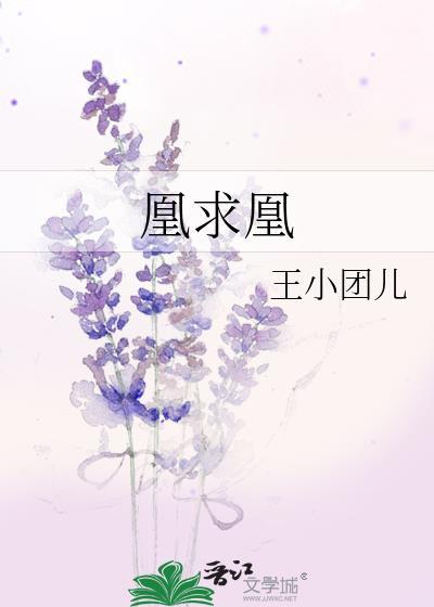 凰求凰
