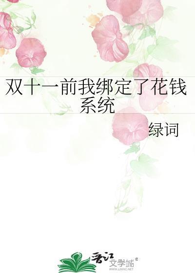 雙十一前我綁定了花錢系統