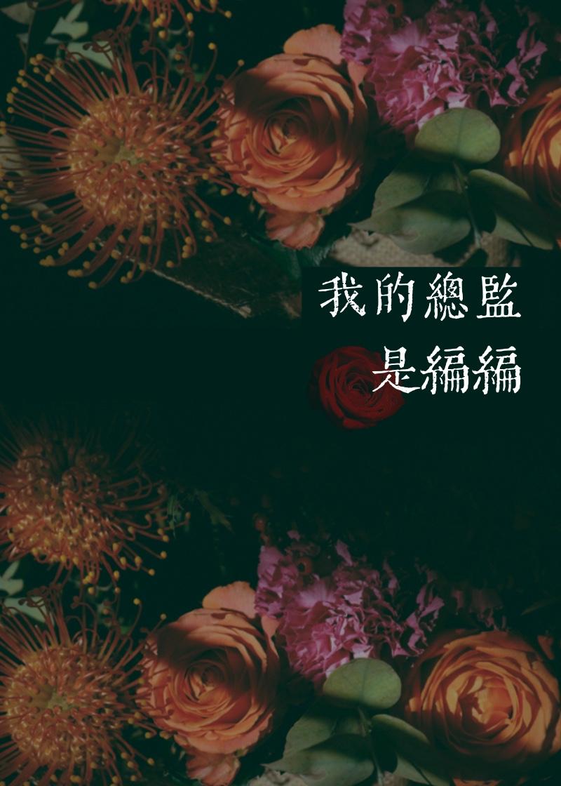 我的總監是編編
