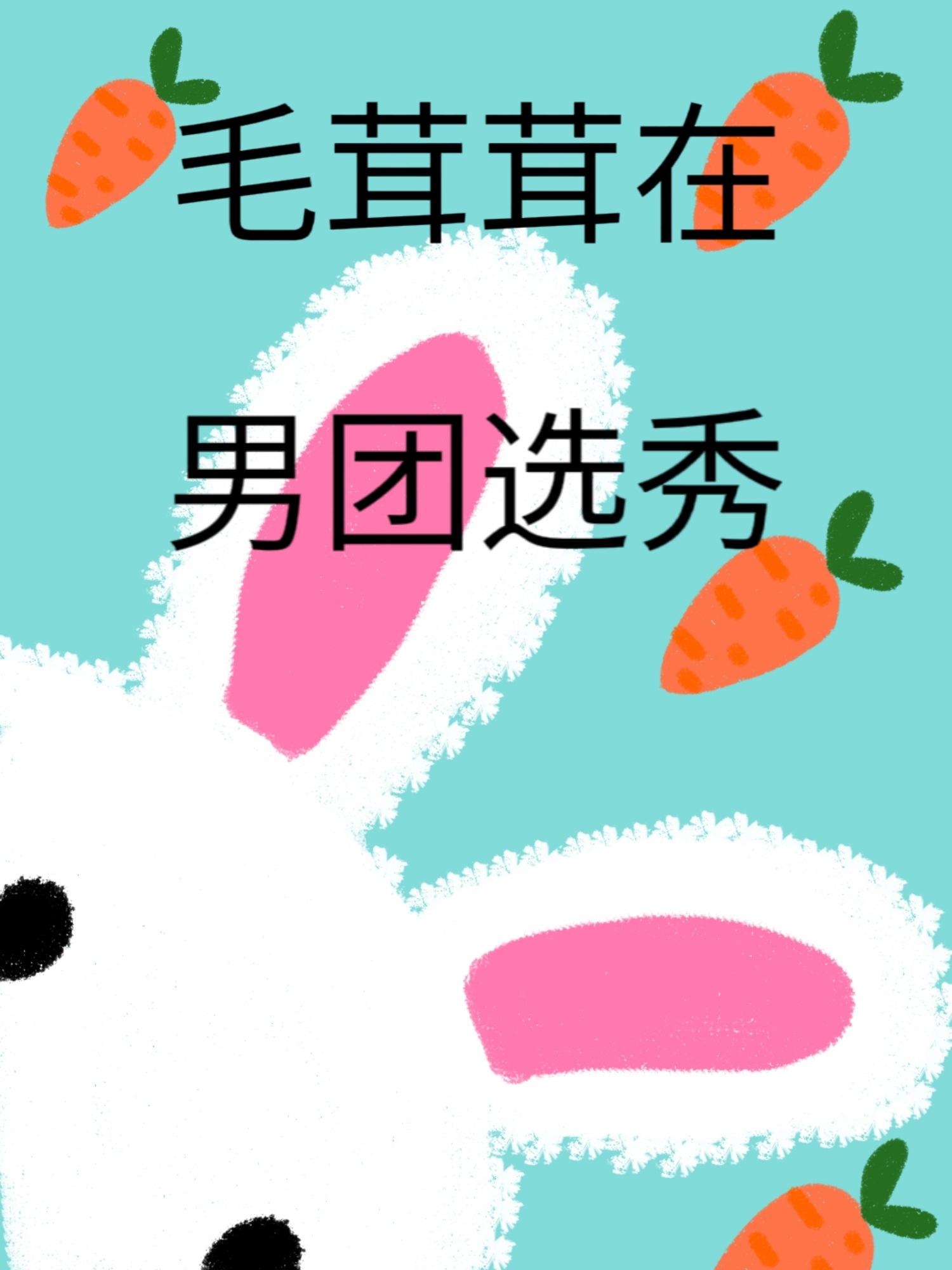 毛茸茸在男團選秀