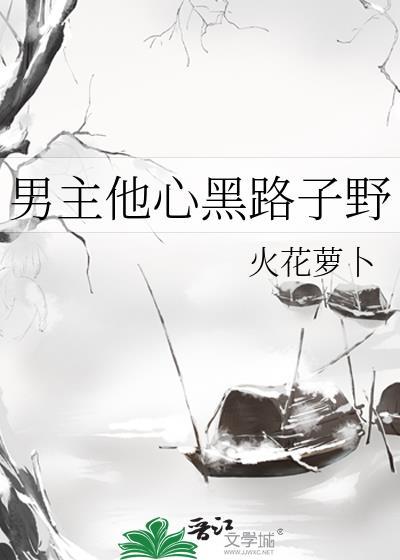 男主他心黑路子野