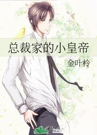 總裁家的小皇帝