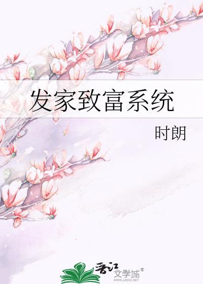 發家致富系統