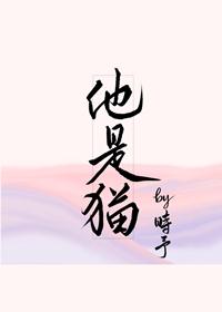 他是貓