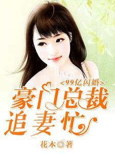 99億閃婚︰豪門總裁夜夜忙
