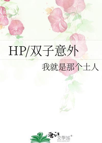 HP/雙子意外