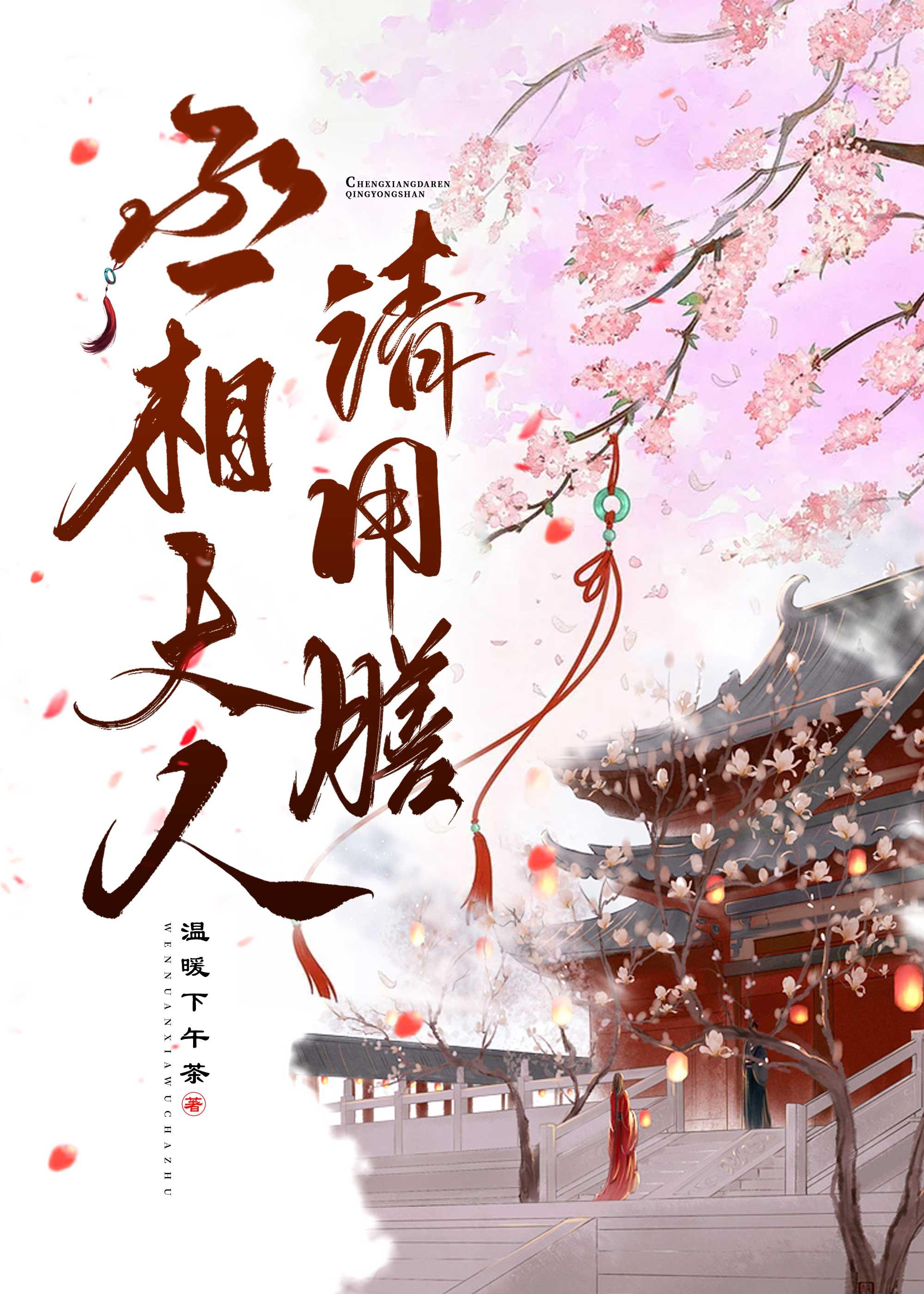 穿到三國,丞相大人請用膳