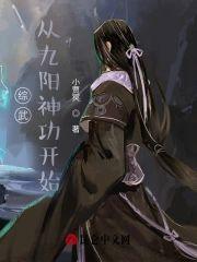 綜武:從九陽神功開始