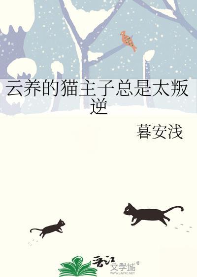 雲養的貓主子總是太叛逆