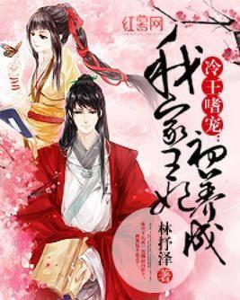 冷王嗜寵︰我家王妃初養成
