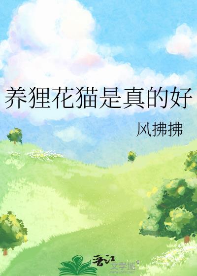 養貍花貓是真的好