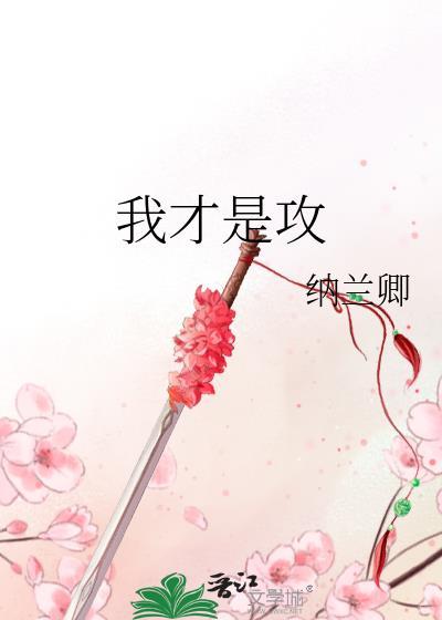 我才是攻