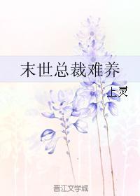 末世總裁難養