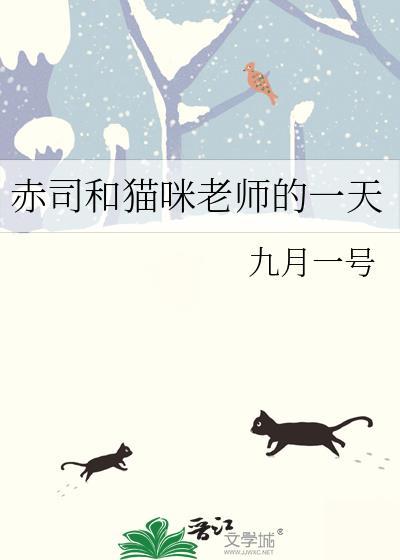 赤司和貓咪老師的一天