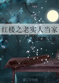 紅樓之老實人當家