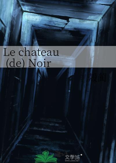 Le chateau (de) Noir