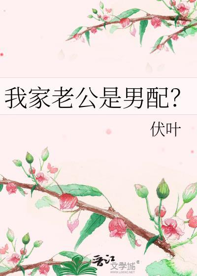 我家老公是男配?