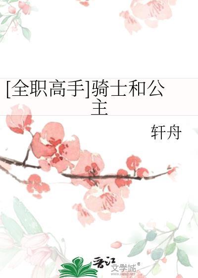 [全職高手]騎士和公主