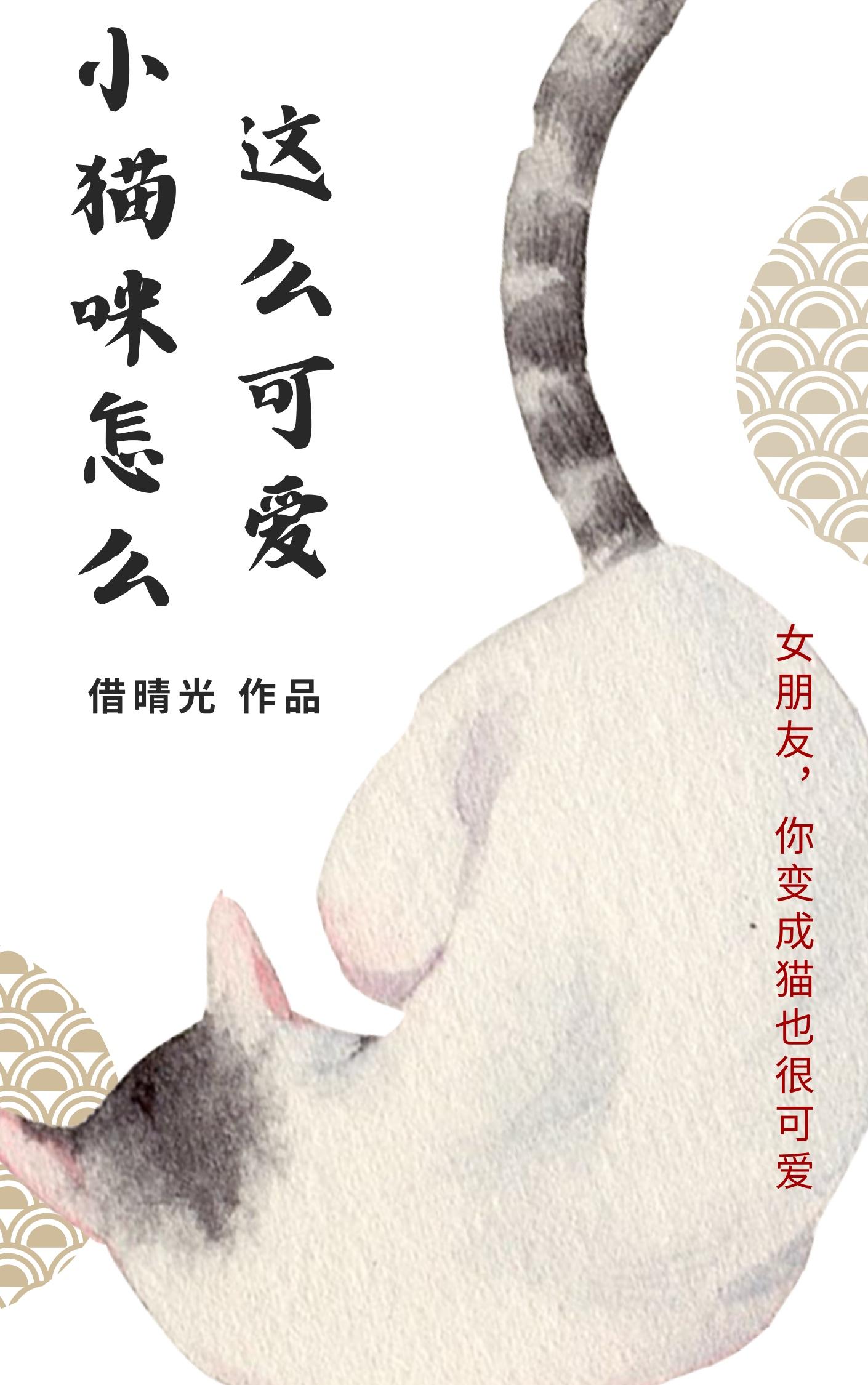 小貓咪怎麽這麽可愛！