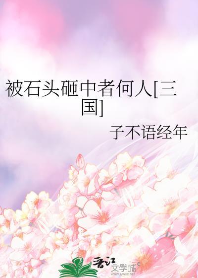 被石頭砸中者何人[三國]