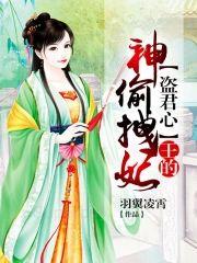 盜君心,王的神偷拽妃