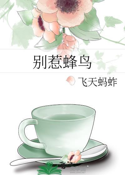 別惹蜂鳥