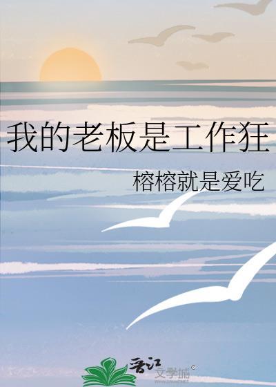 我的老板是工作狂