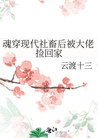魂穿現代社畜後被大佬撿回家