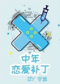 中年戀愛補丁(gl)