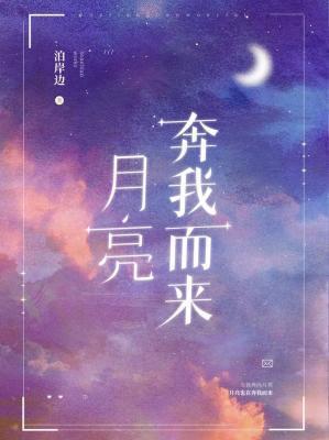 月亮奔我而來