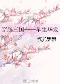 穿越三國——早生華發