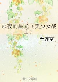 那夜的星光(美少女戰士)