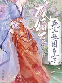 成婚後愛上敵國皇子