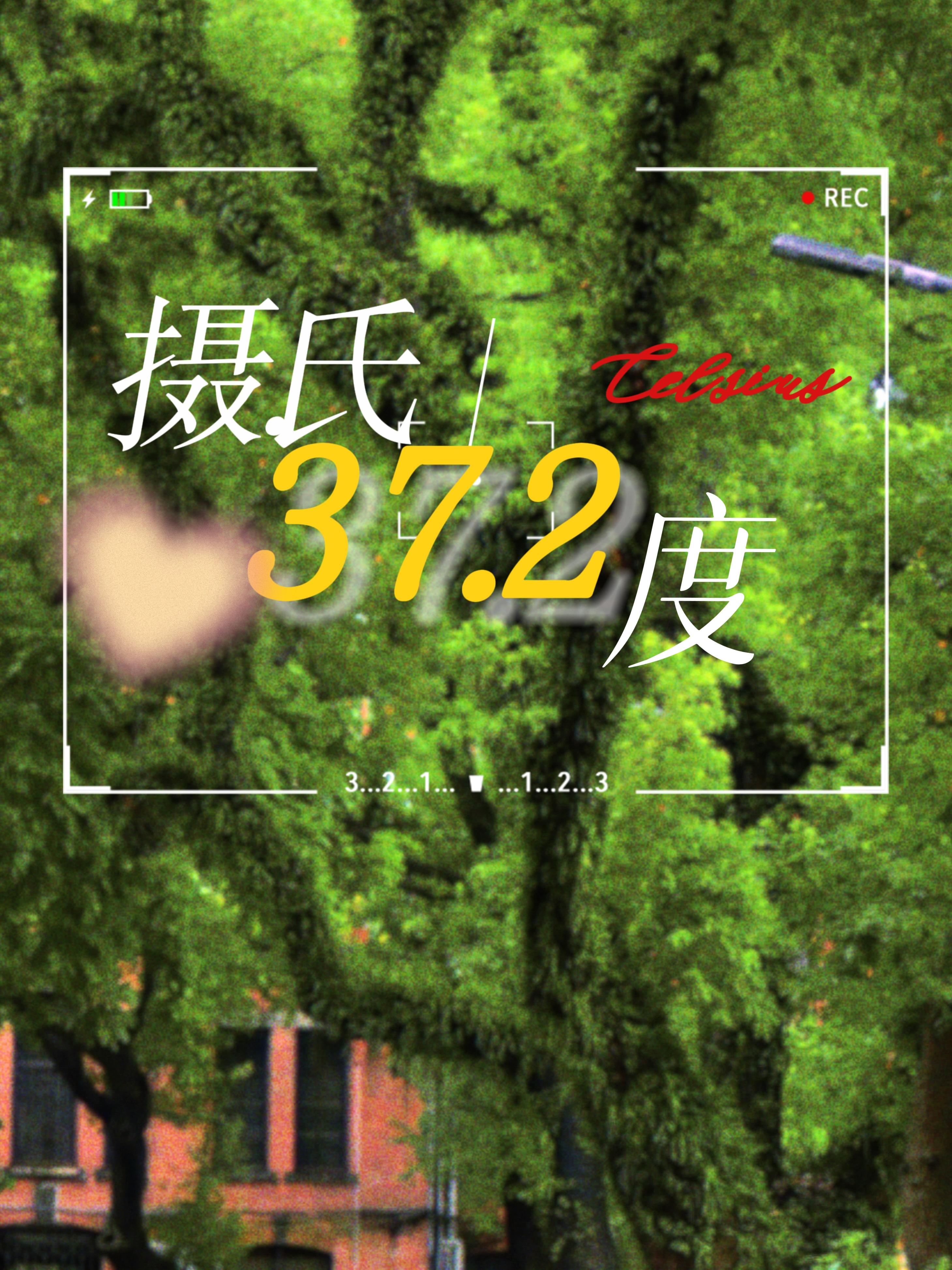 [排球少年]攝氏37.2度（黑尾相關）