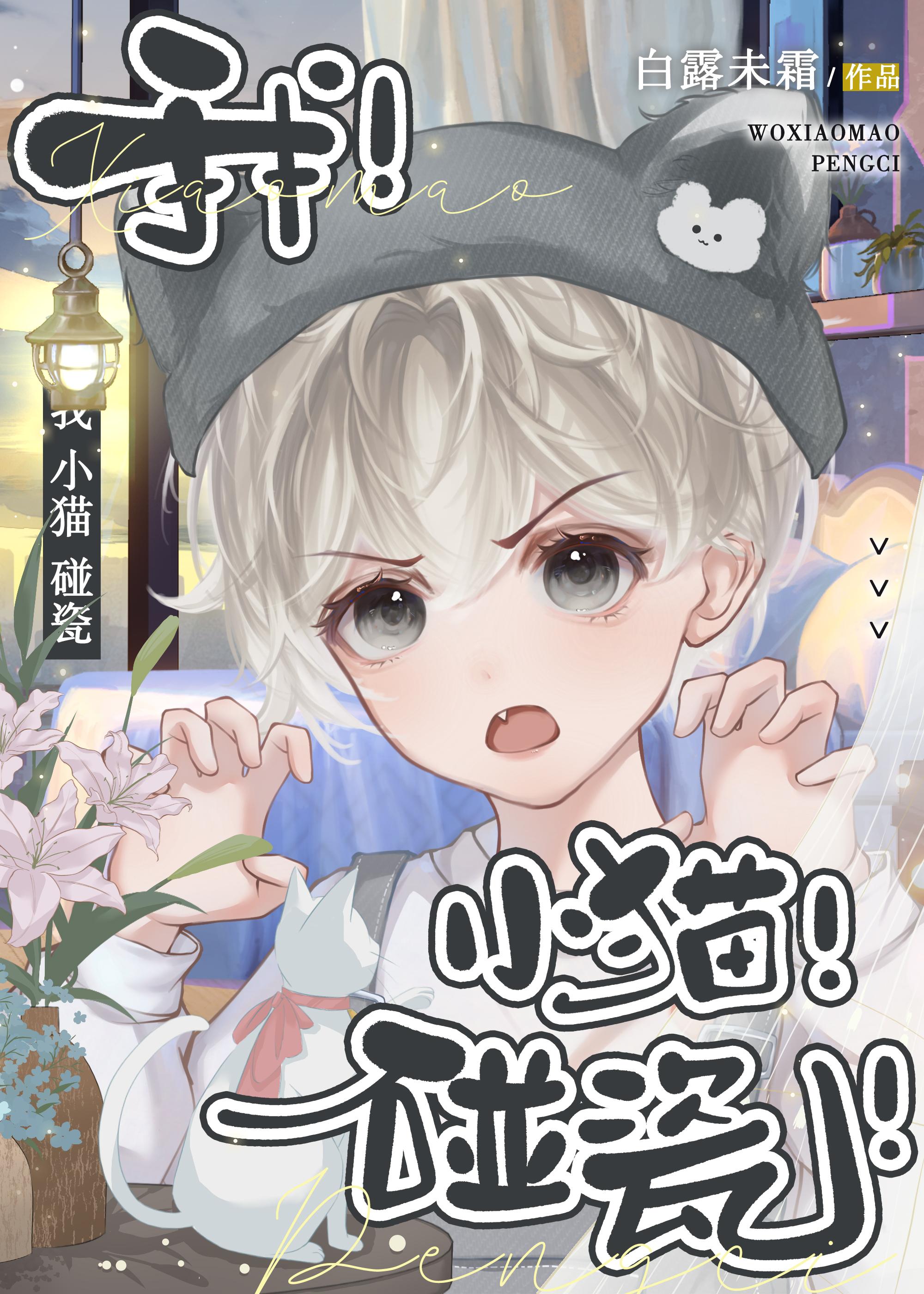 我,小貓,碰瓷