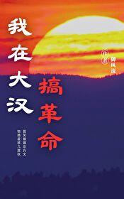 我在大漢搞革命