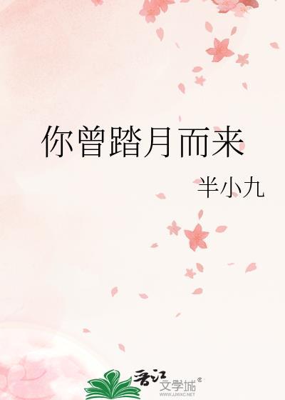 你曾踏月而來