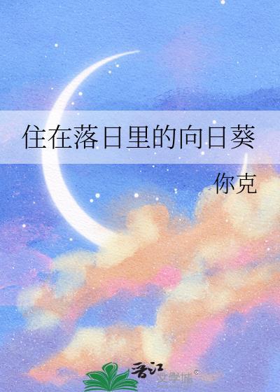 住在落日裏的向日葵