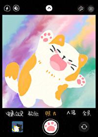 貓貓腿短怎麽啦