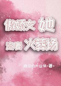 傲嬌女她追妻火葬場