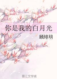 你是我的白月光